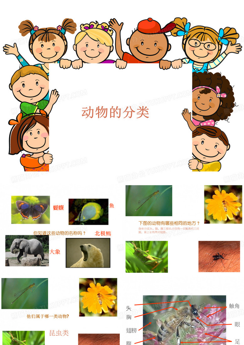 一年级自然科学