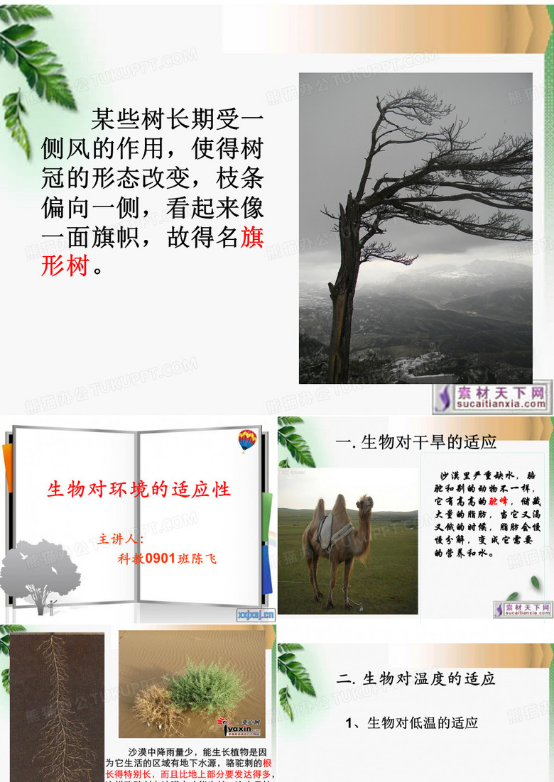 【经典】自然科学