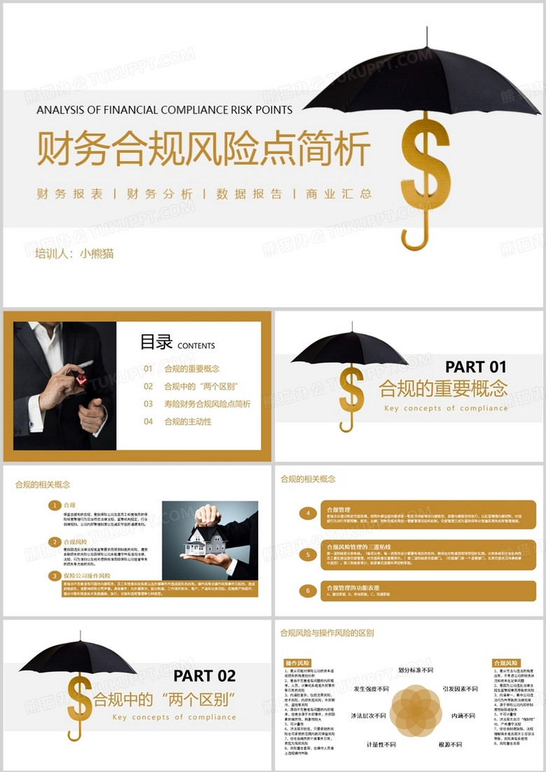 保险公司财务合规风险点简析PPT模板