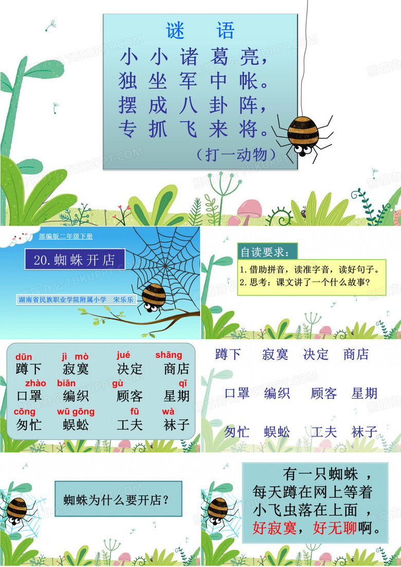 新蜘蛛开店