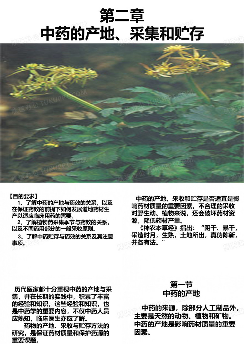 中药学