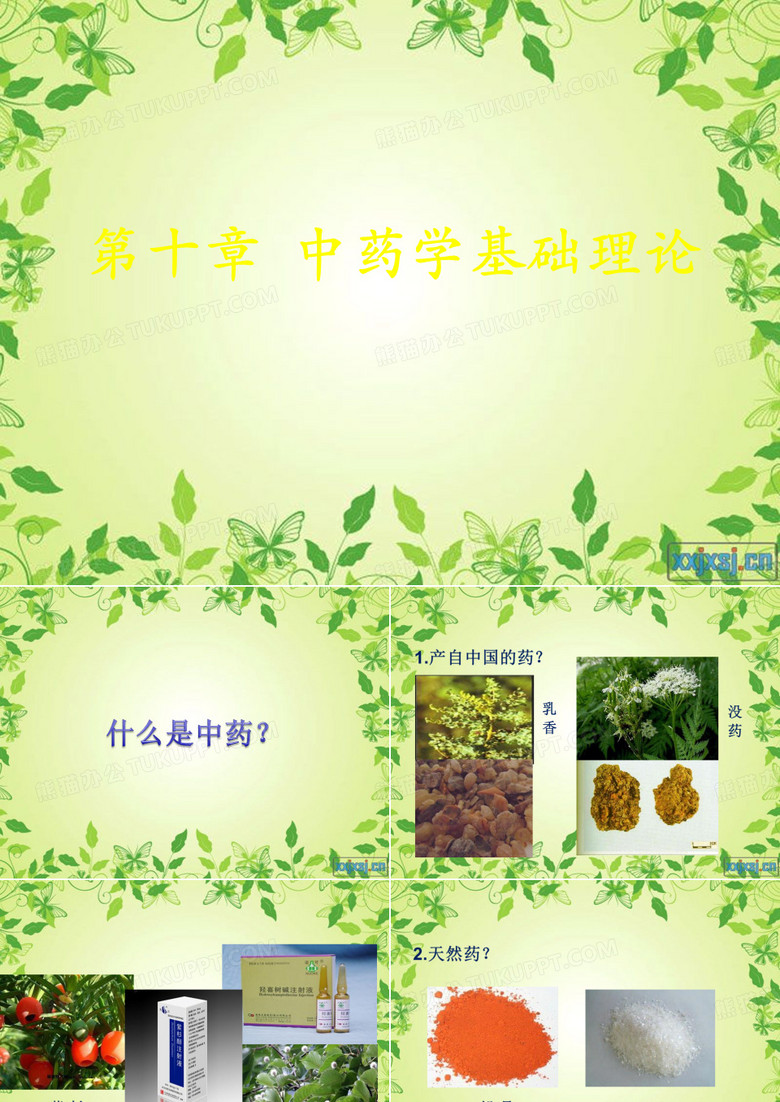 中药学基础理论