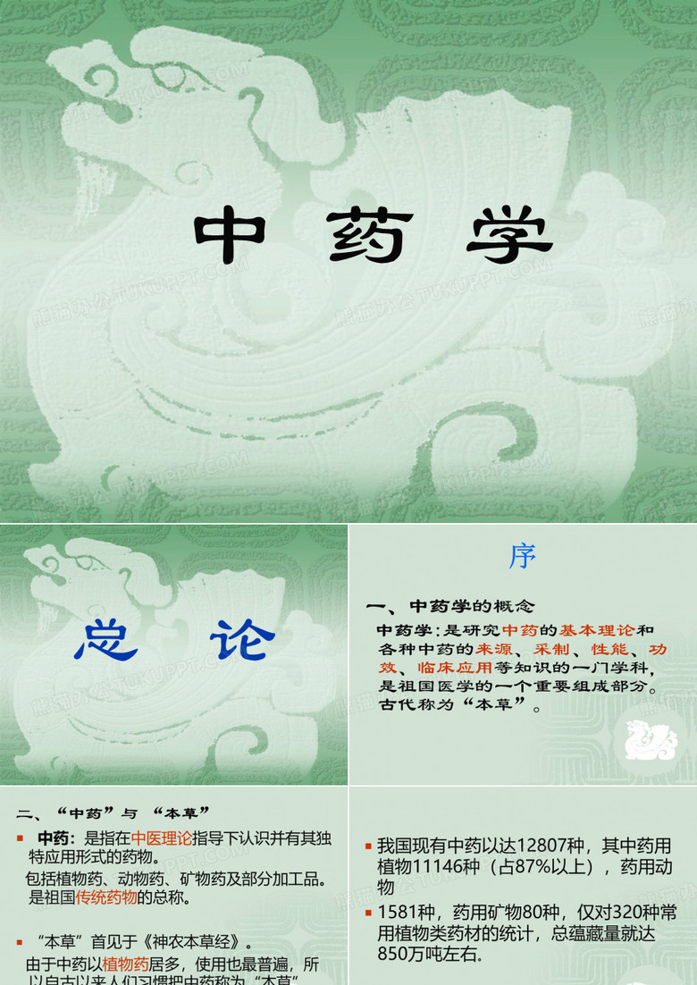 中药学总论