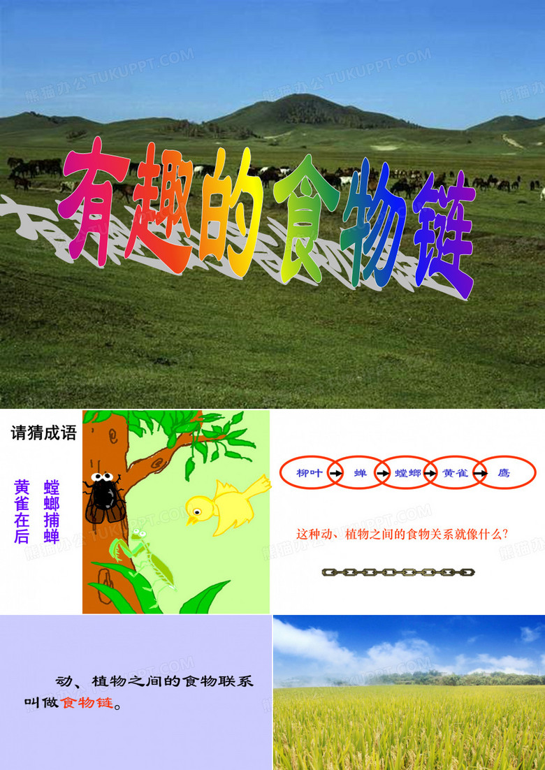 有趣的食物链