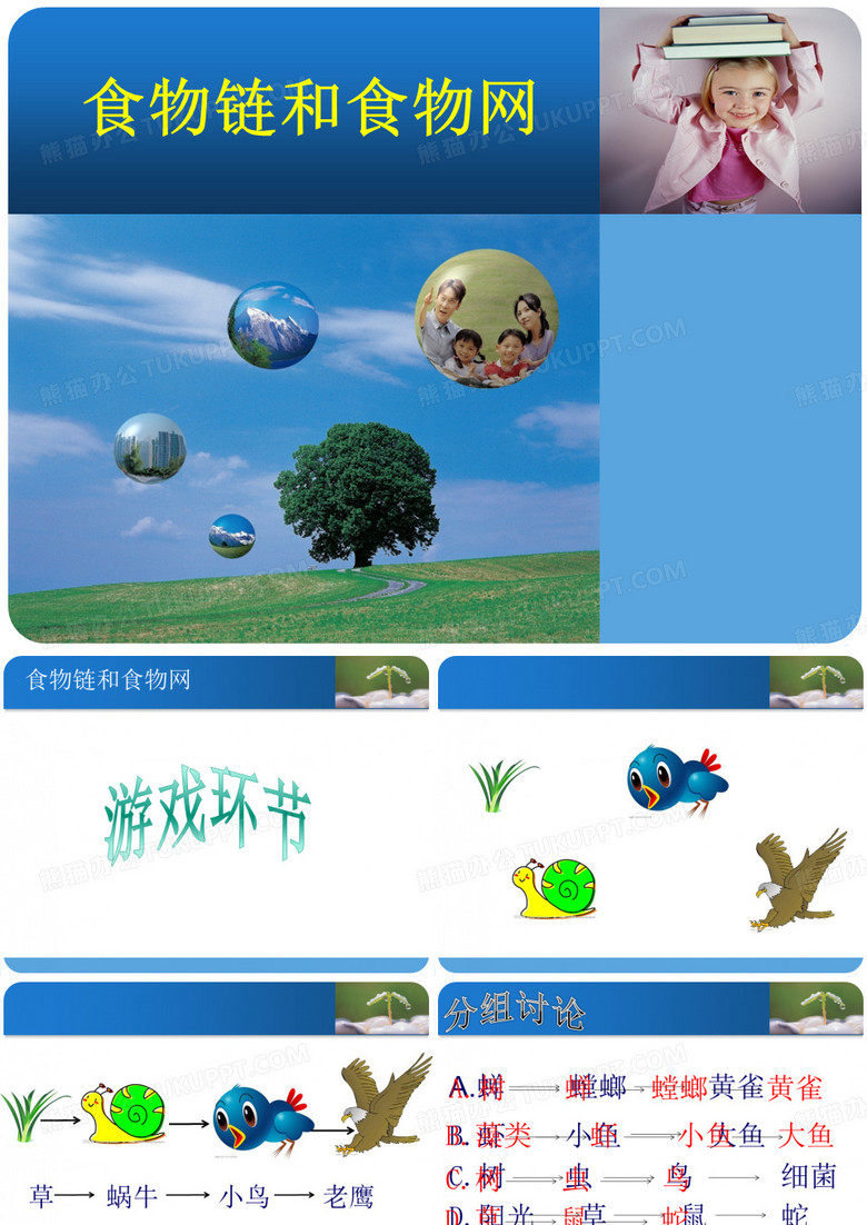 食物链食物网
