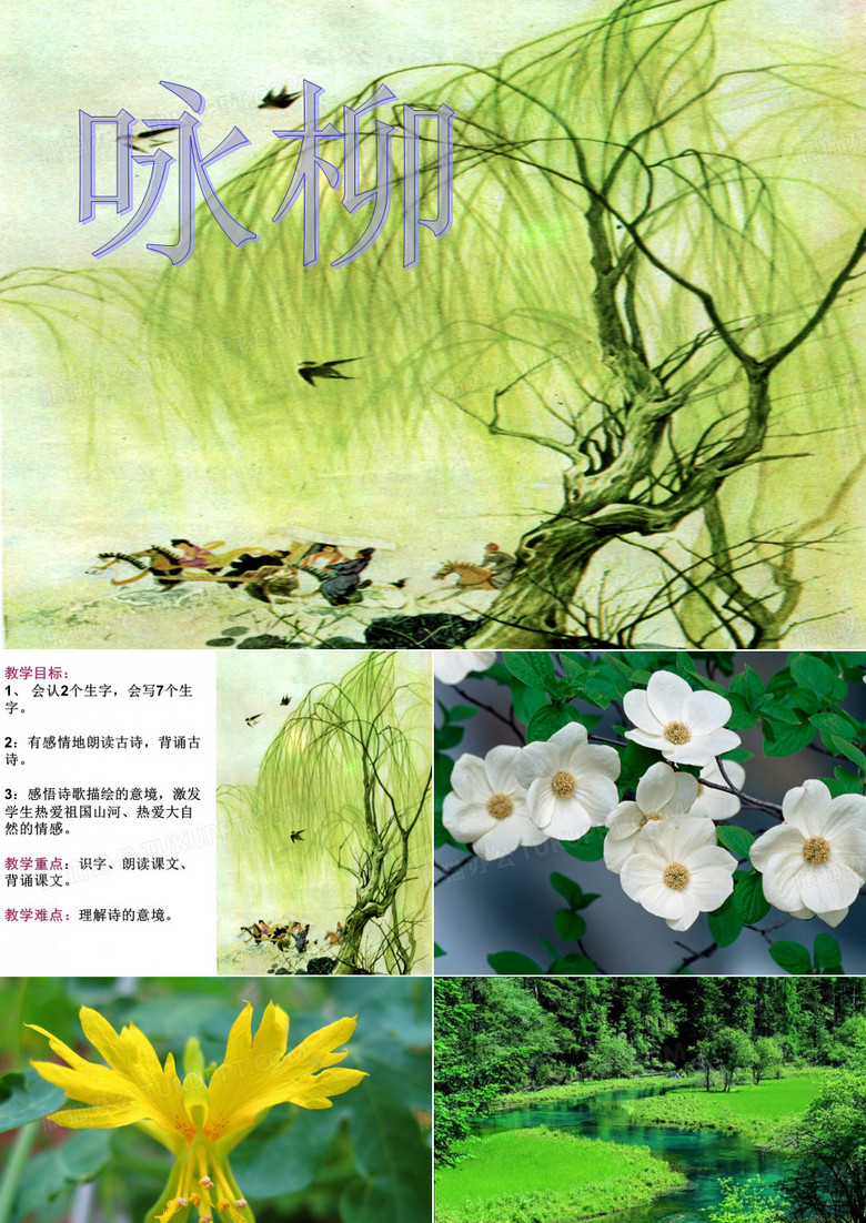 咏柳