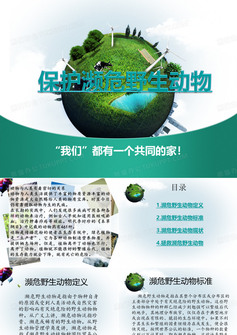 保护濒危野生动物