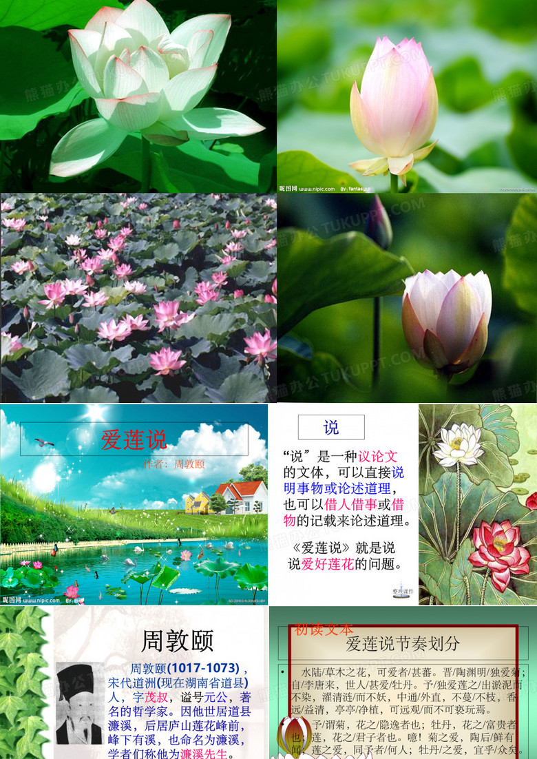 《爱莲说》