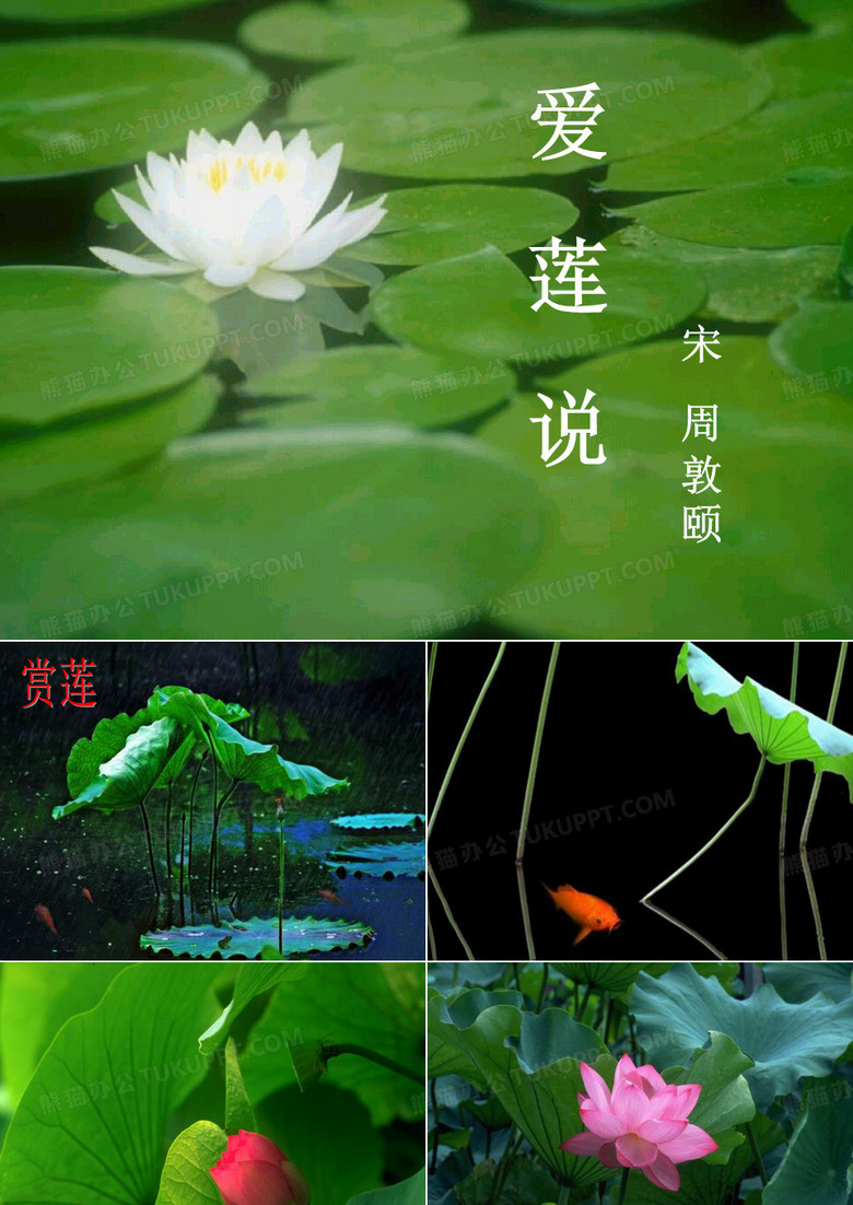 《爱莲说》.《短文两篇：爱莲说》