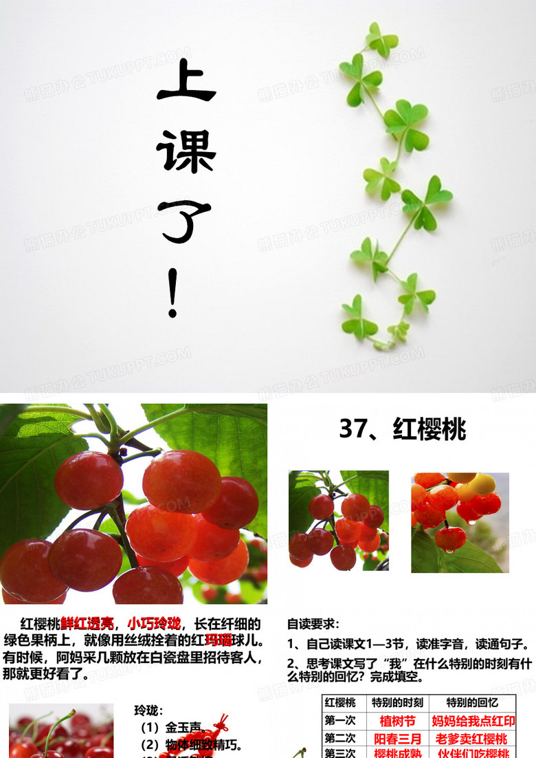 红樱桃