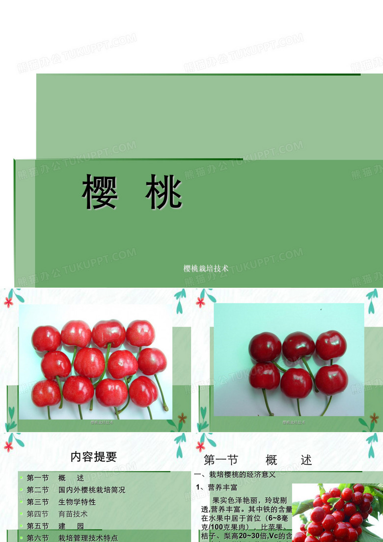 樱桃栽培技术