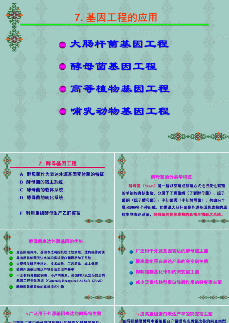 基因工程 酵母菌基因工程(2)
