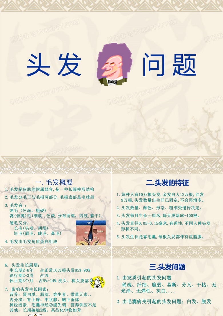 头发ppt