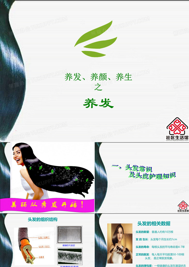 头发及头皮知识