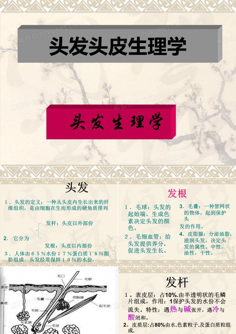 头发头皮生理学