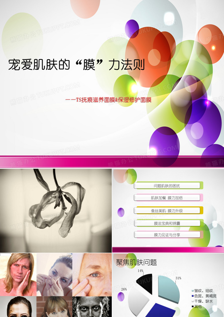 TS面膜课件