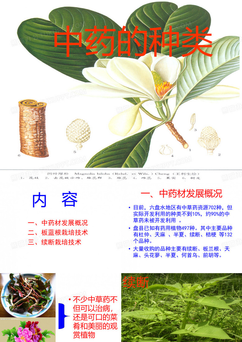 中药材的种类_