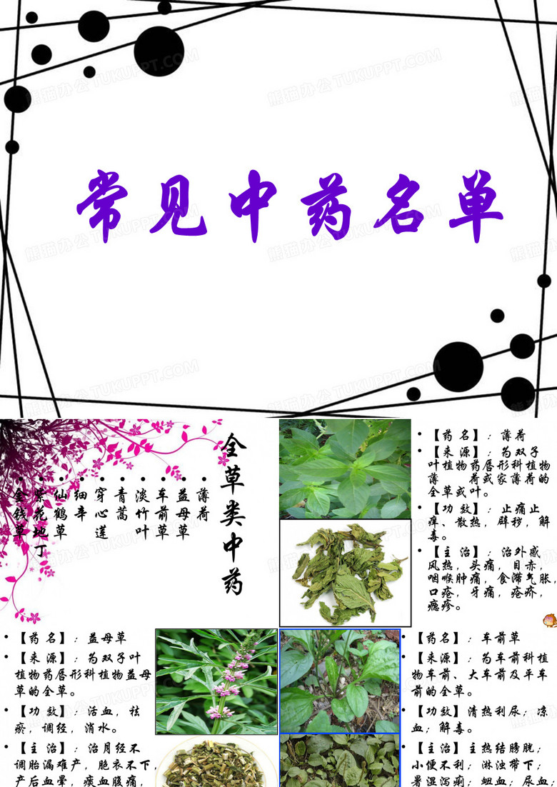 常见中药材名称