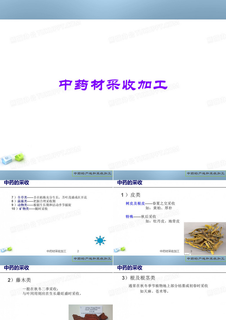中药材采收加工