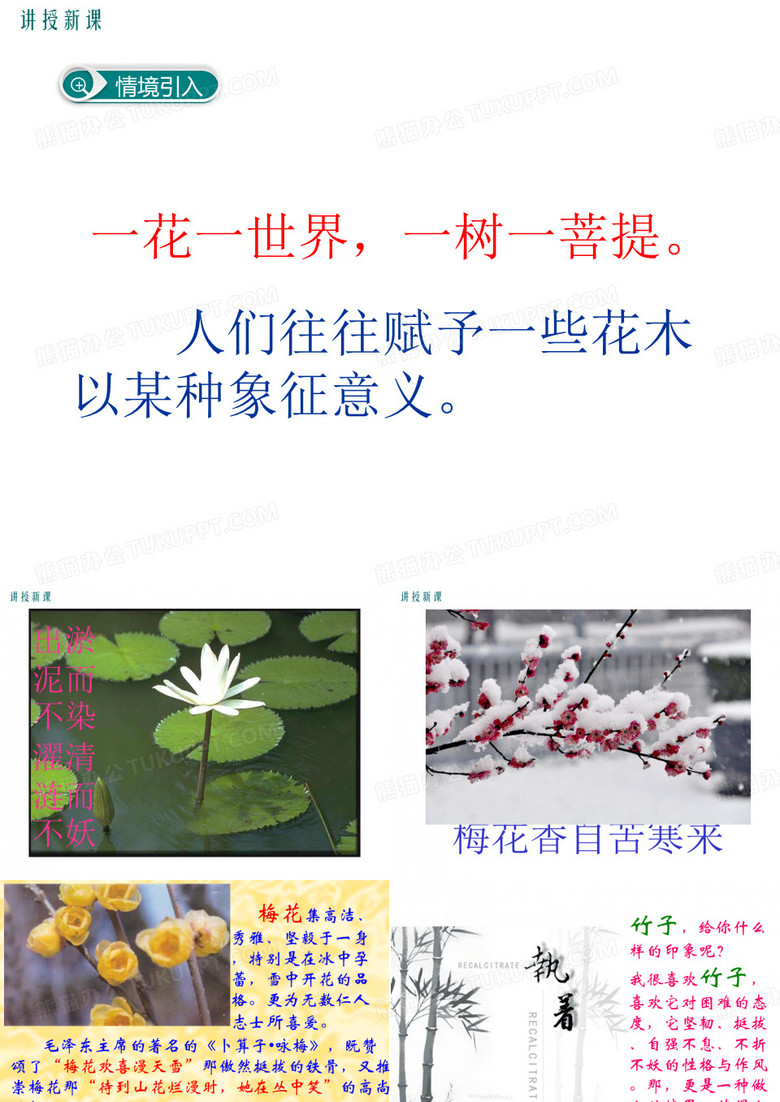 紫藤萝瀑布
