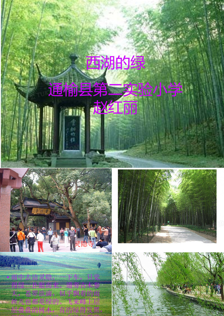 西湖的绿