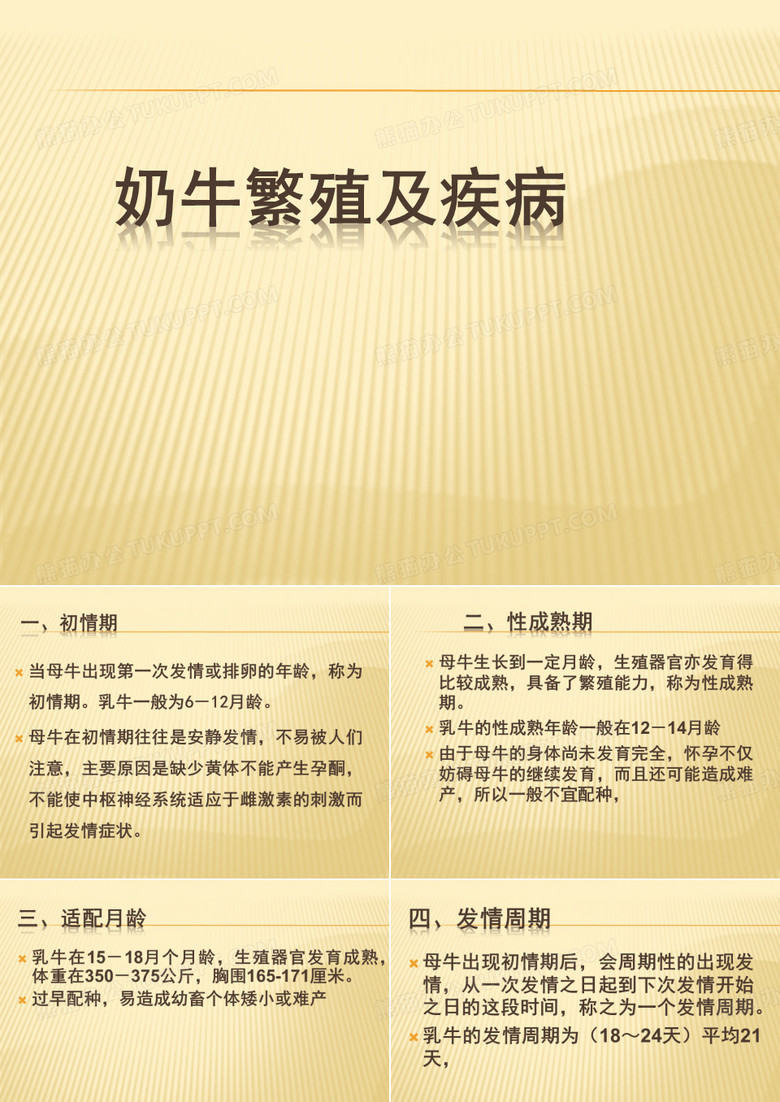 奶牛繁殖