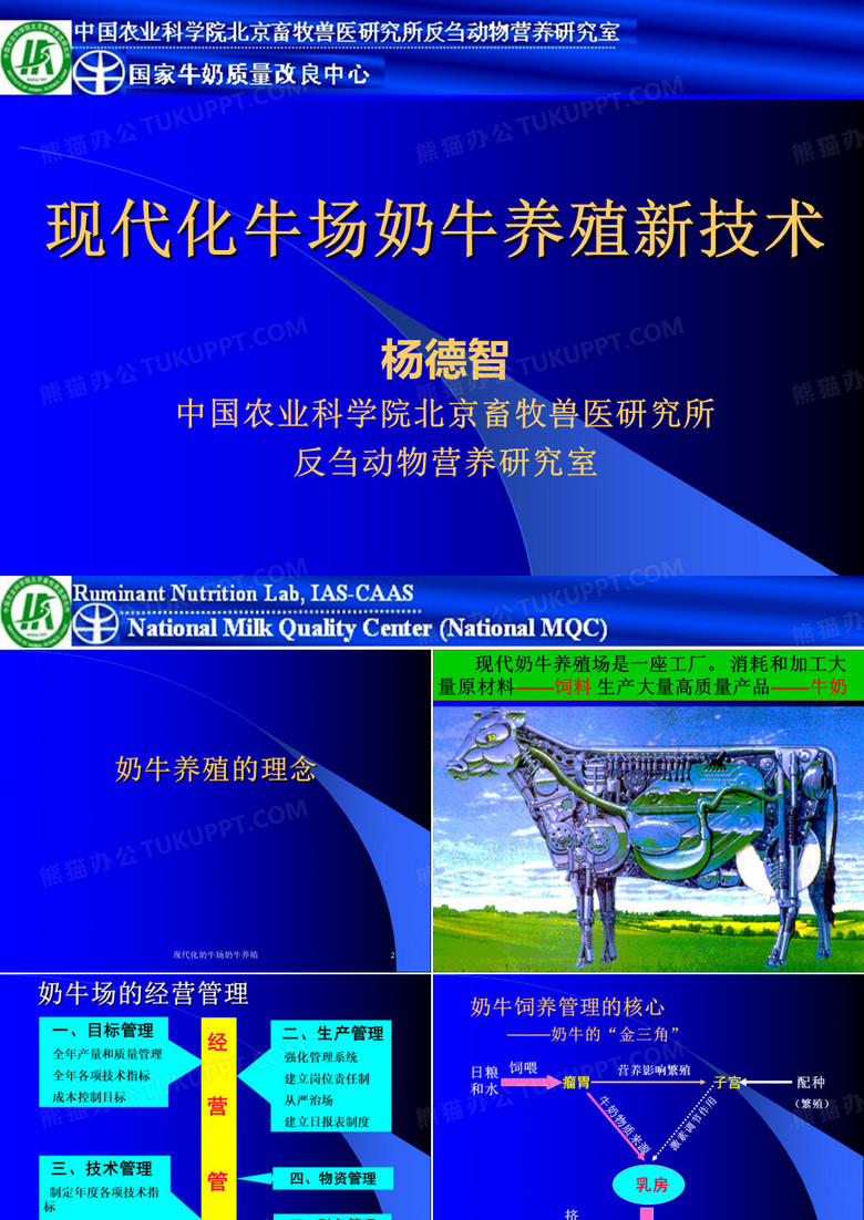 现代化奶牛场奶牛养殖课件