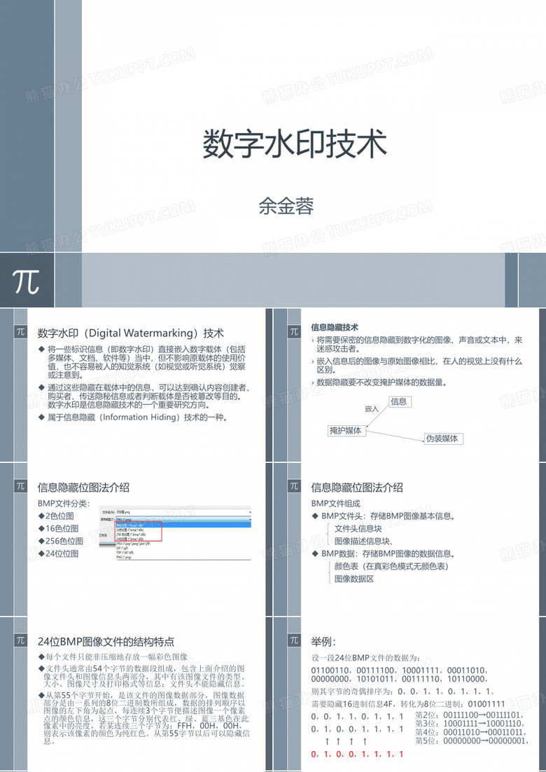 数字水印技术