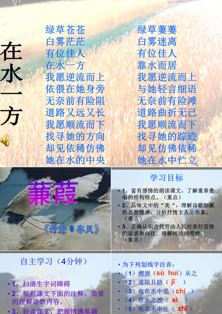 蒹葭
