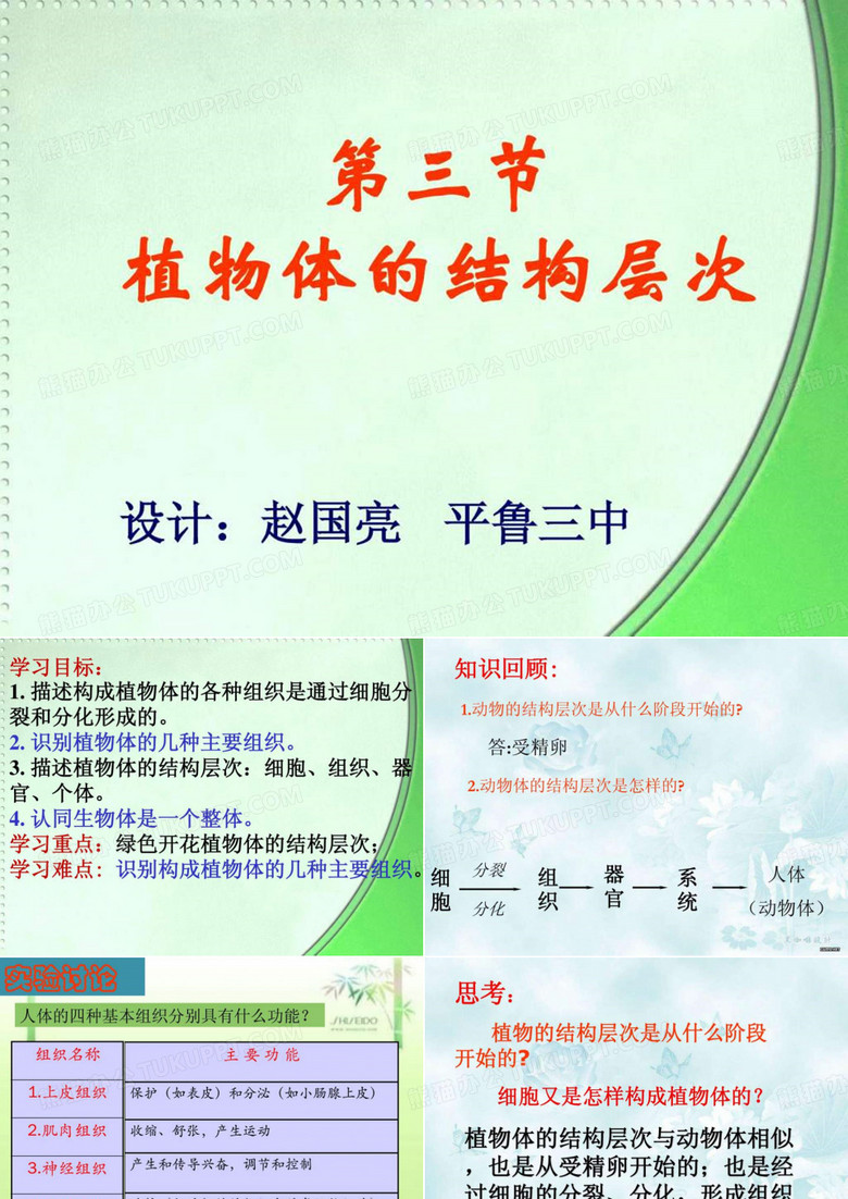 植物体结构层次