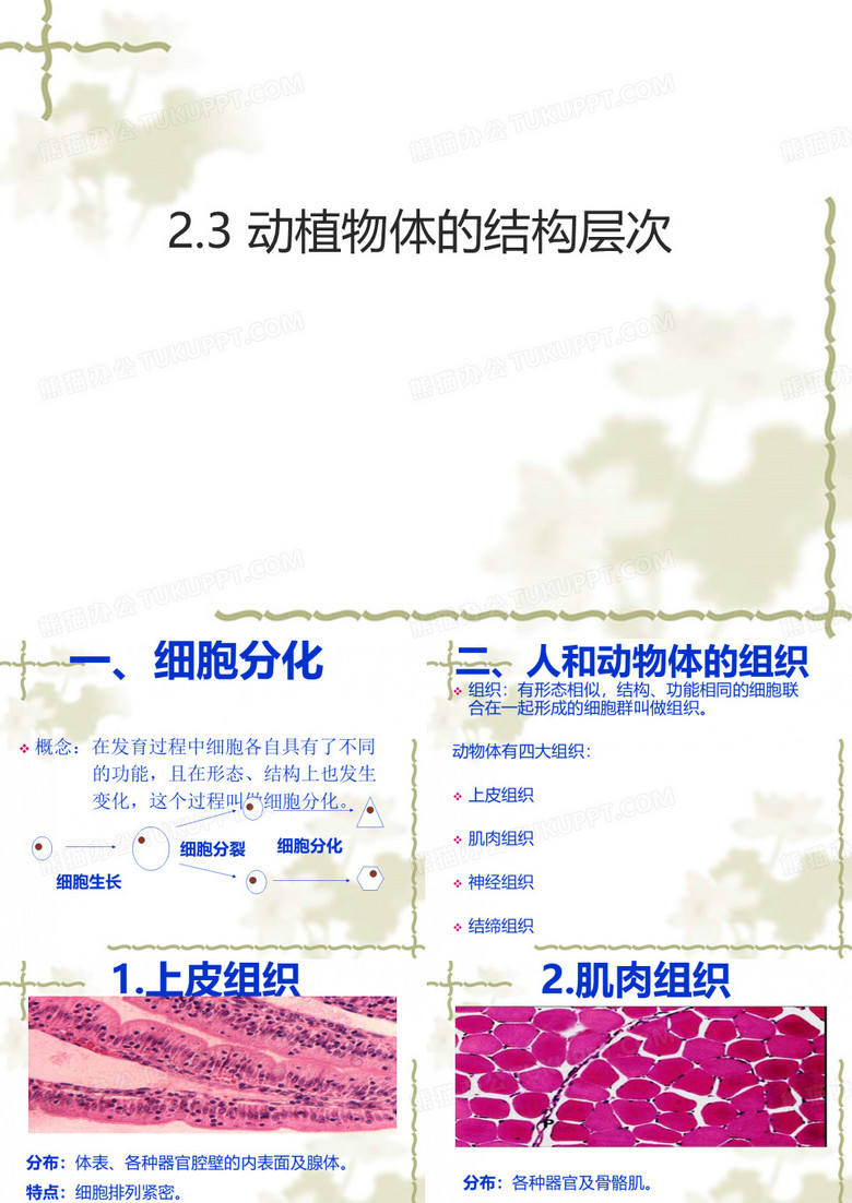 动植物的结构层次