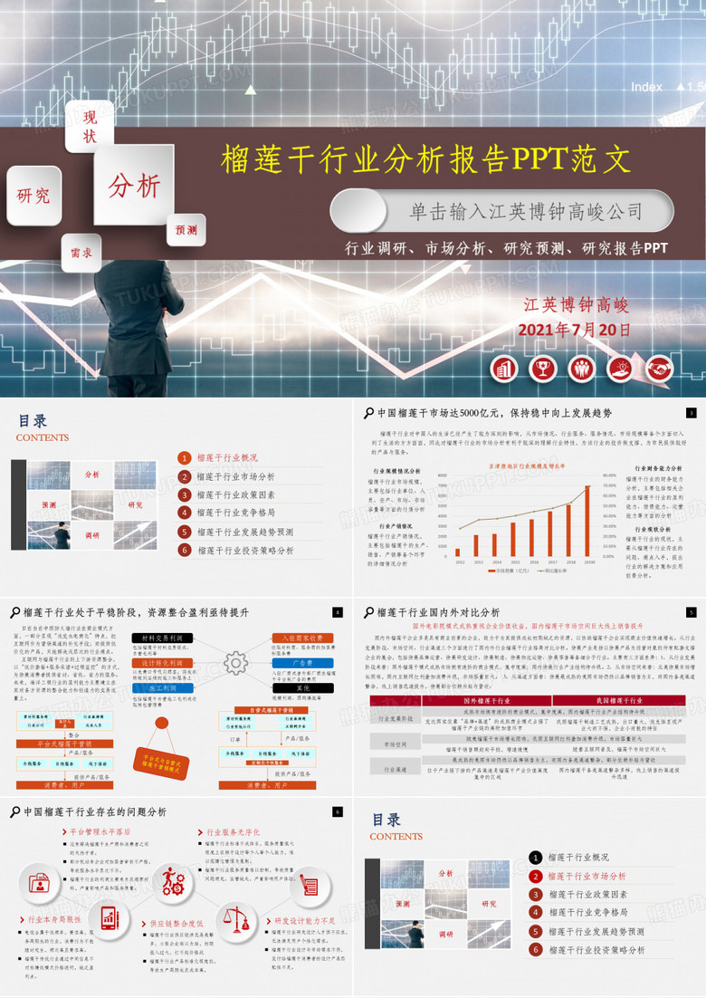 榴莲干市场分析研究报告ppt