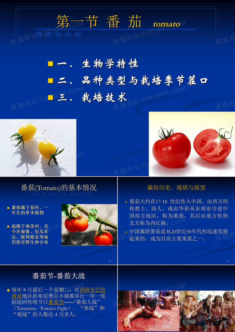 番茄