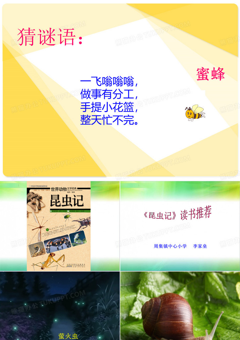 昆虫记读书推荐
