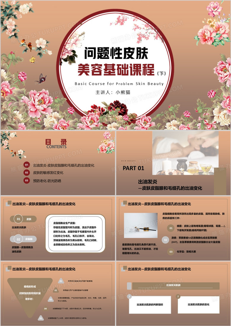 问题性皮肤美容基础课程PPT模板