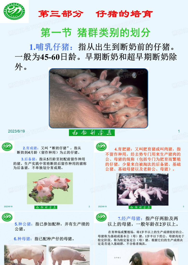 三部分仔猪的培育ppt课件