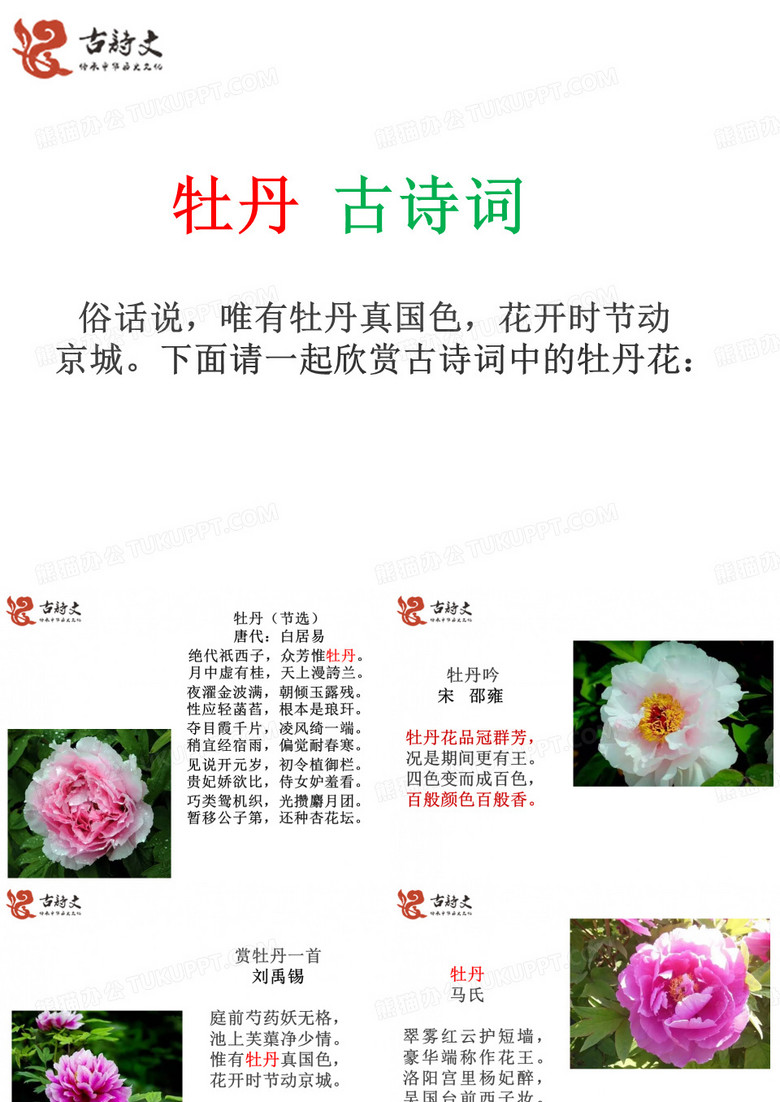 描写牡丹花的古诗词