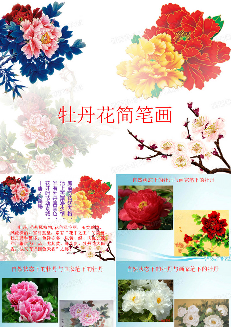 牡丹花简笔画