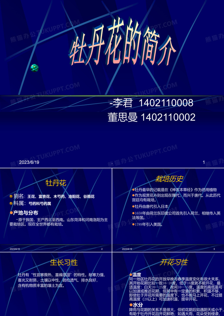 牡丹花简介PPT课件
