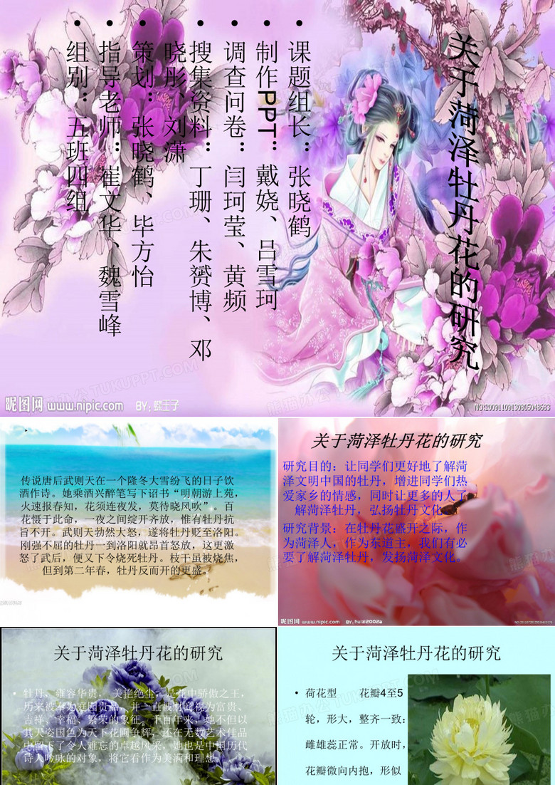 关于菏泽牡丹花的研究.ppt