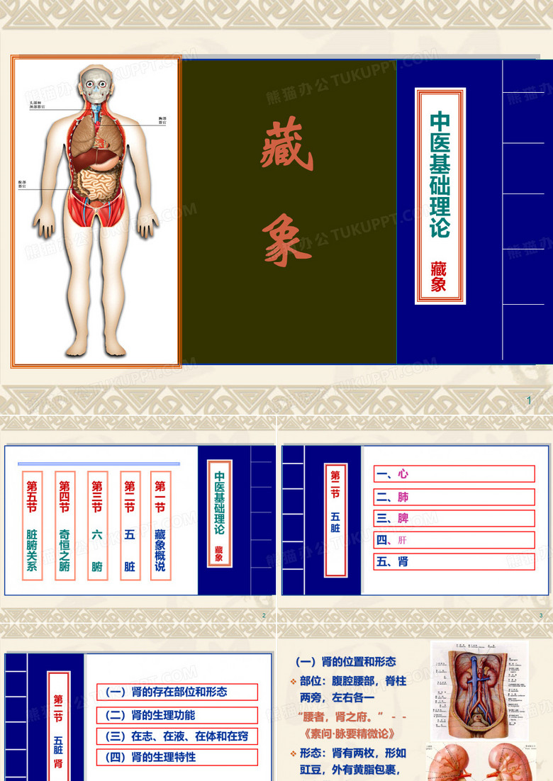 五脏肾