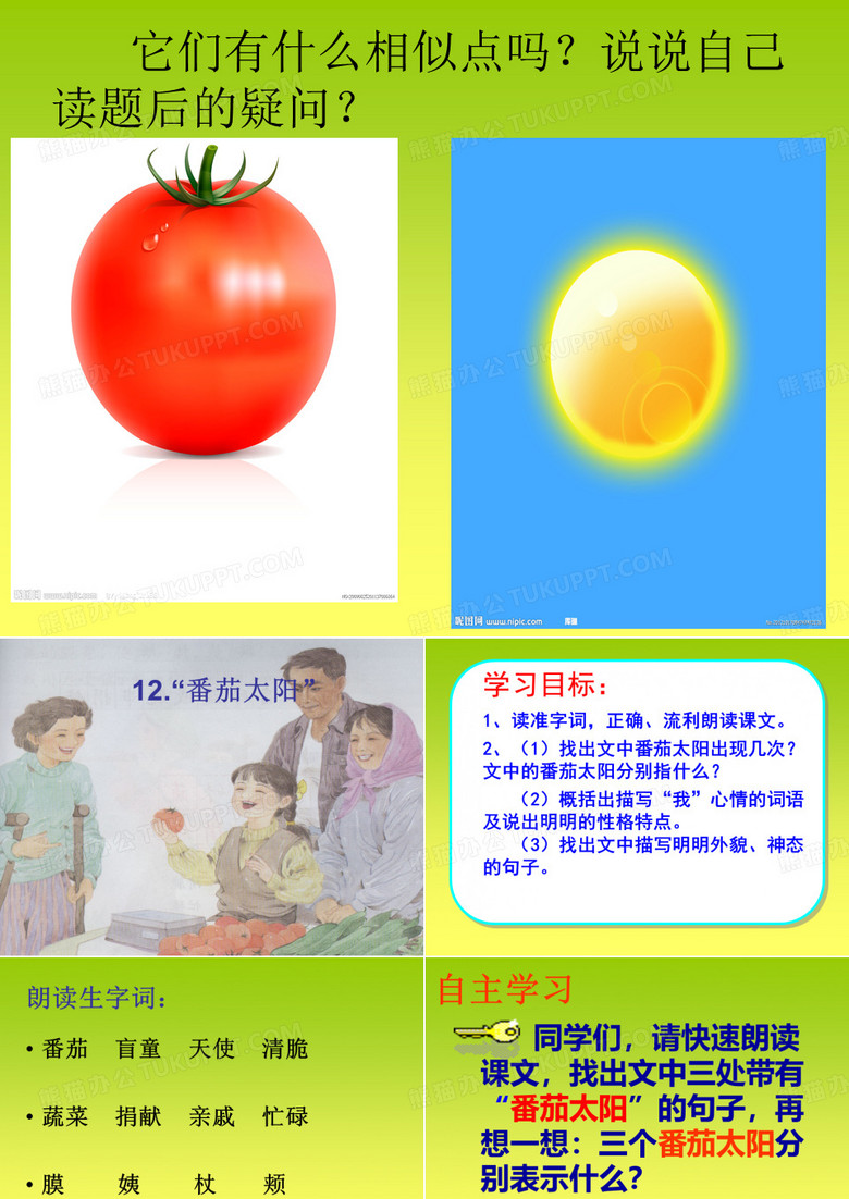 番茄太阳