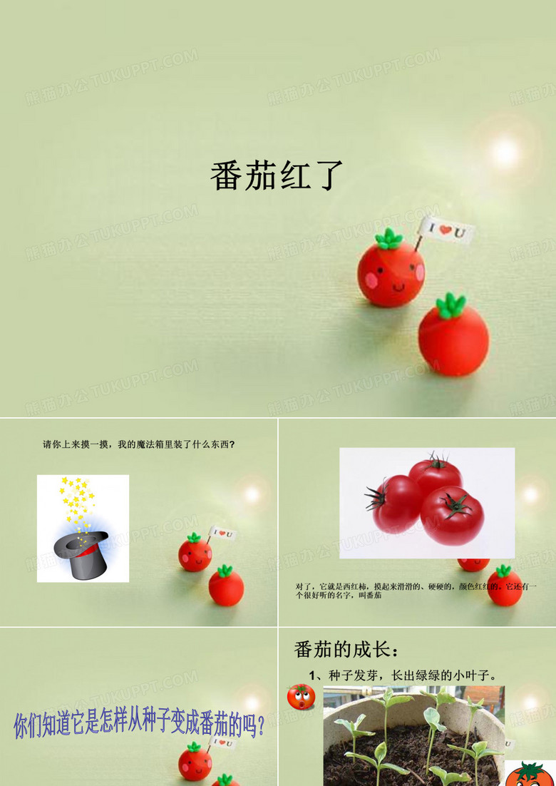 番茄红了