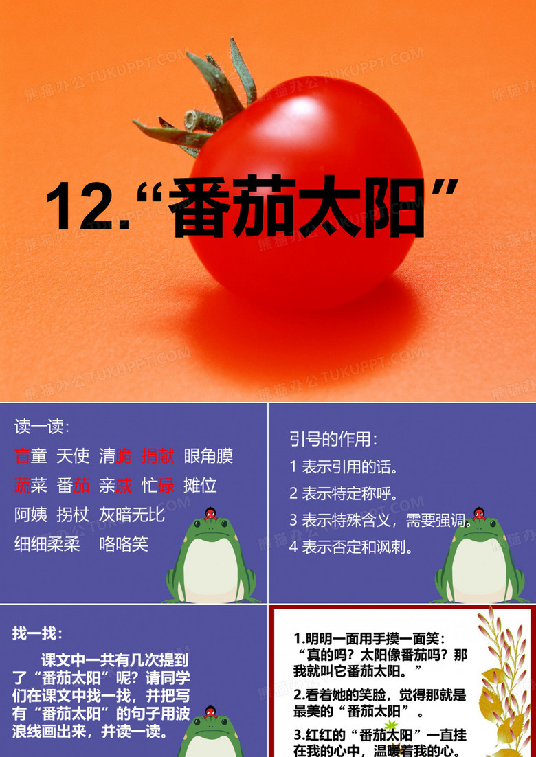 番茄太阳