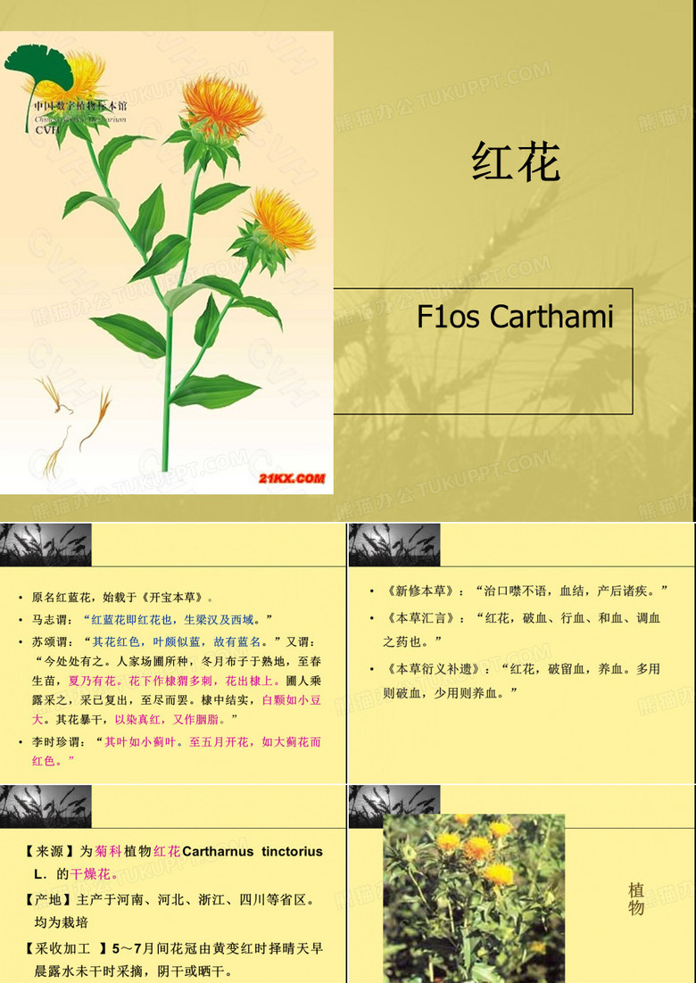 红花
