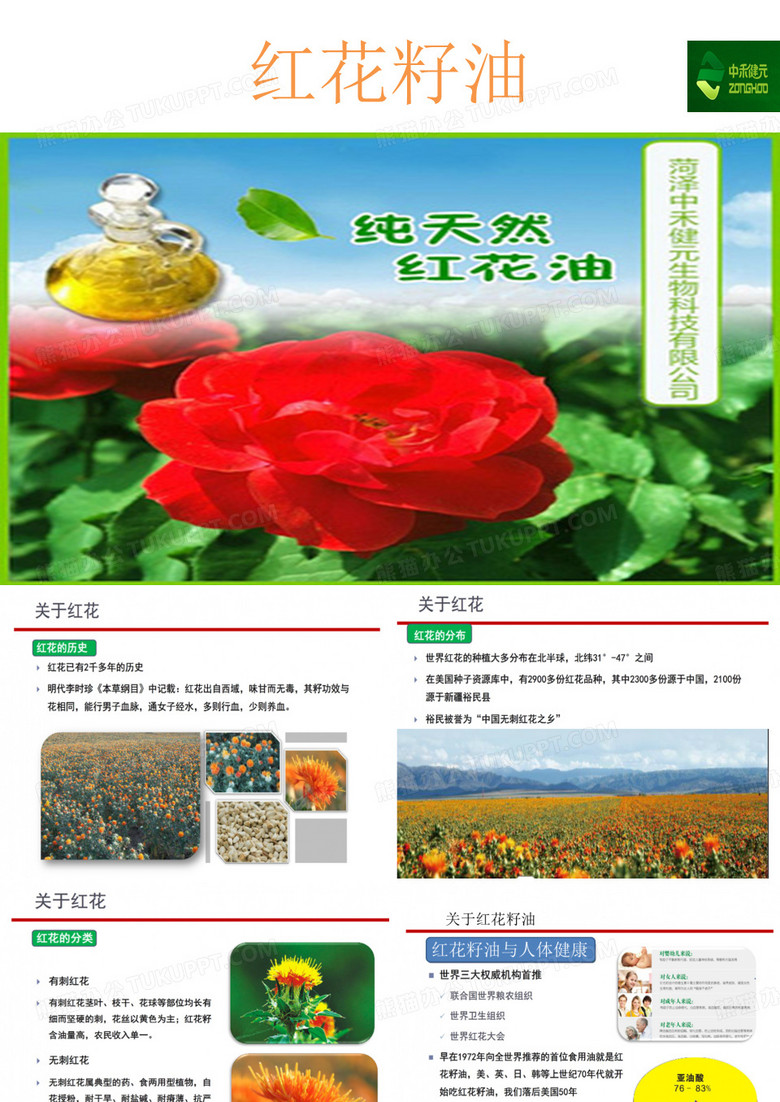 红花籽油