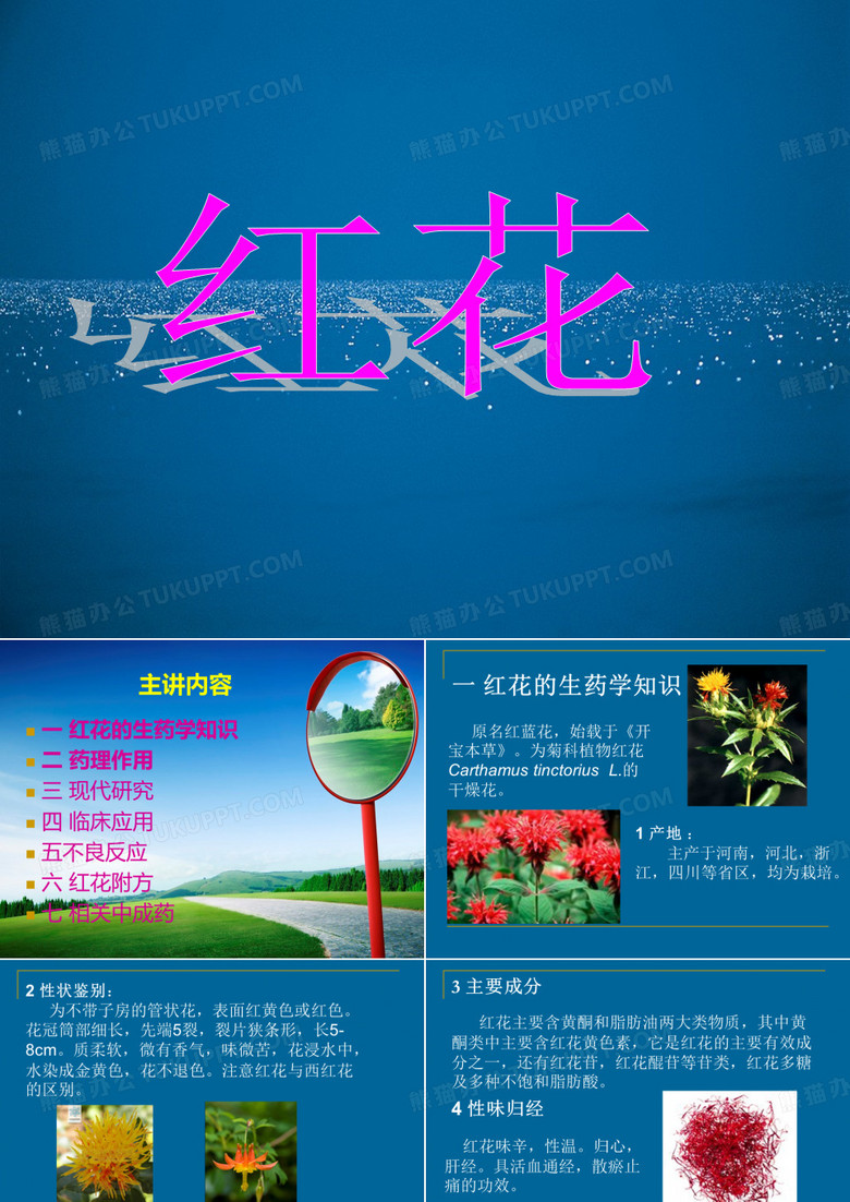 红花-中药药理学