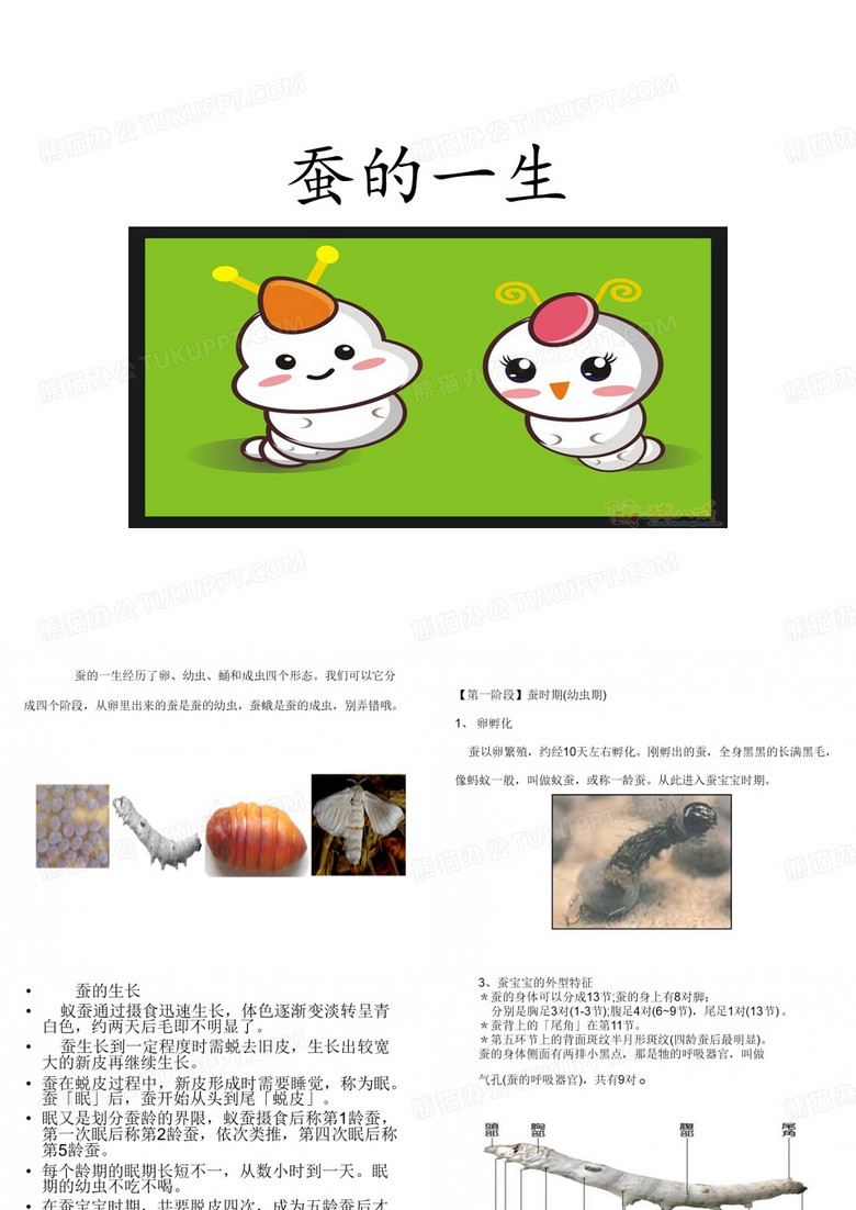 蚕的一生