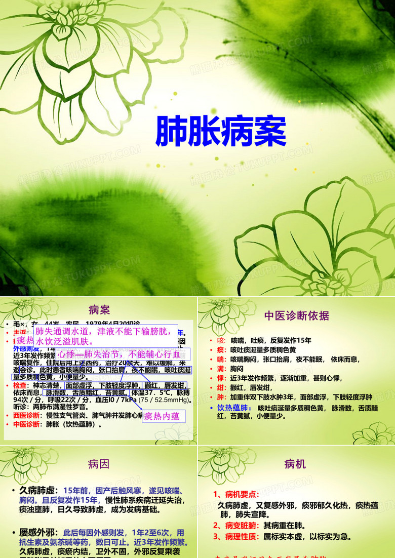 肺胀病案