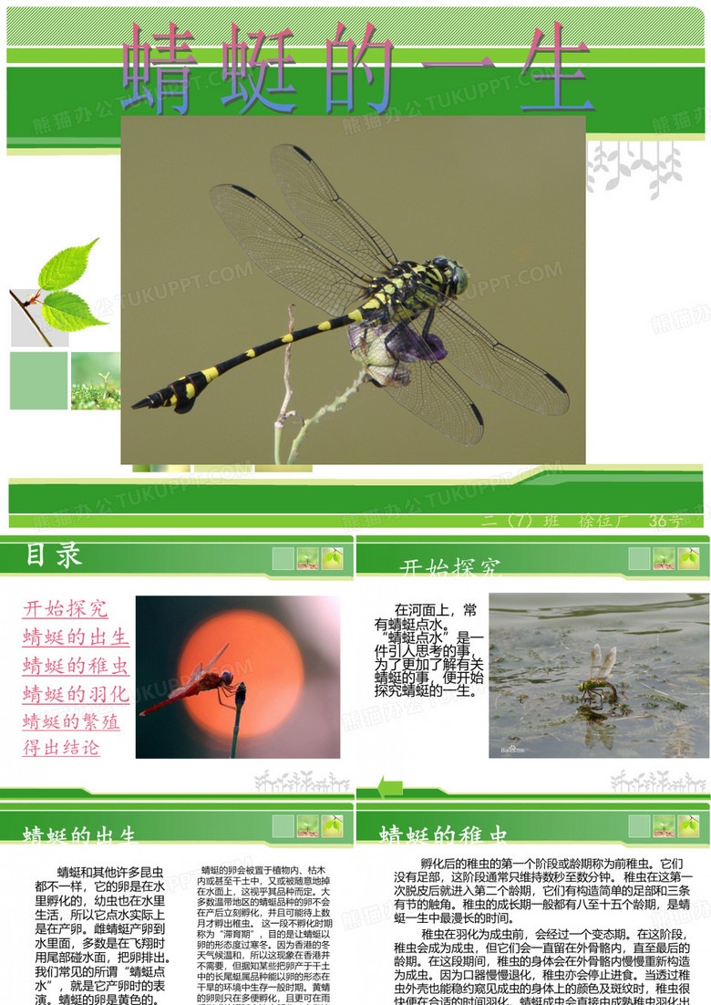 蜻蜓的一生